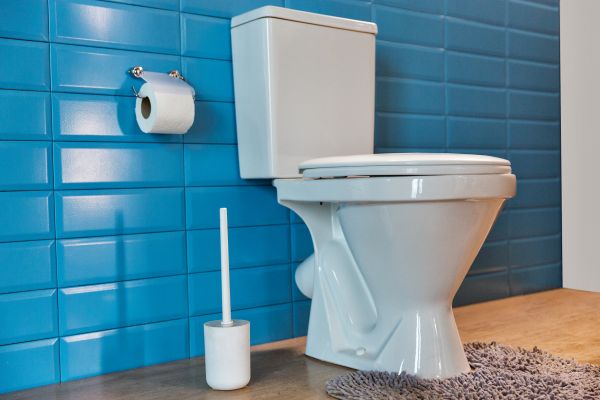 Cost of Toilet Tank Repair in Vacaville