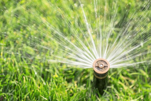 Cost of Spigot Installation in Vacaville