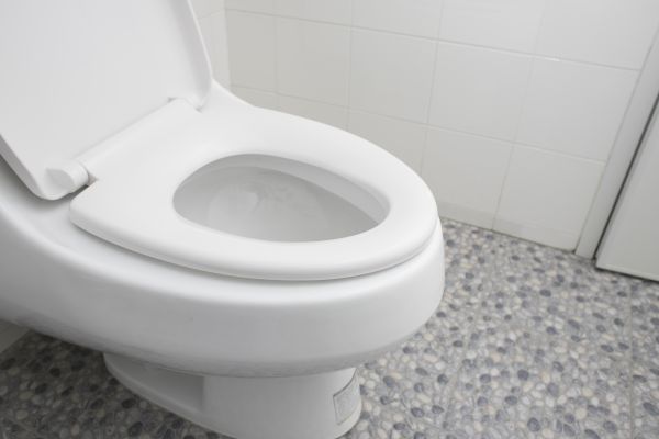 Cost of New Toilet Installation in Vacaville